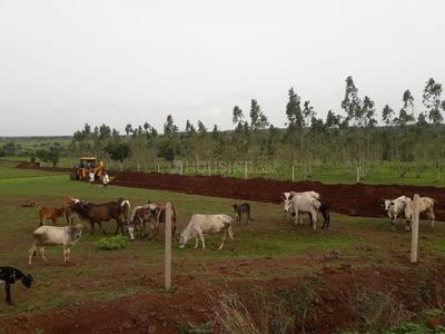 Residential Plot
