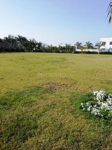 Residential Plot