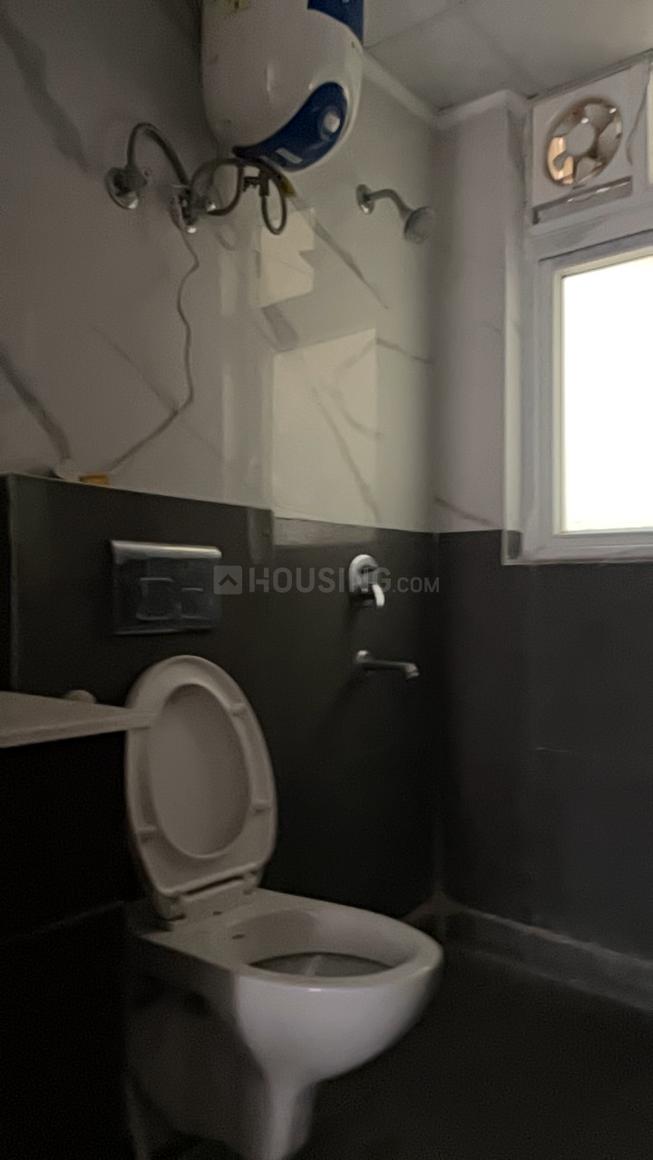 AIG Aigin Royal - Image 11