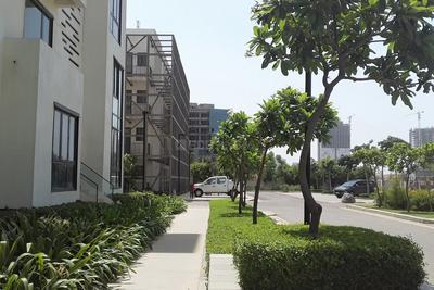 3 BHK Apartment