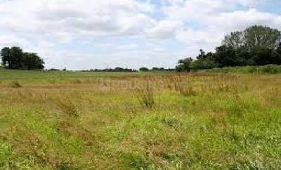 Residential Plot