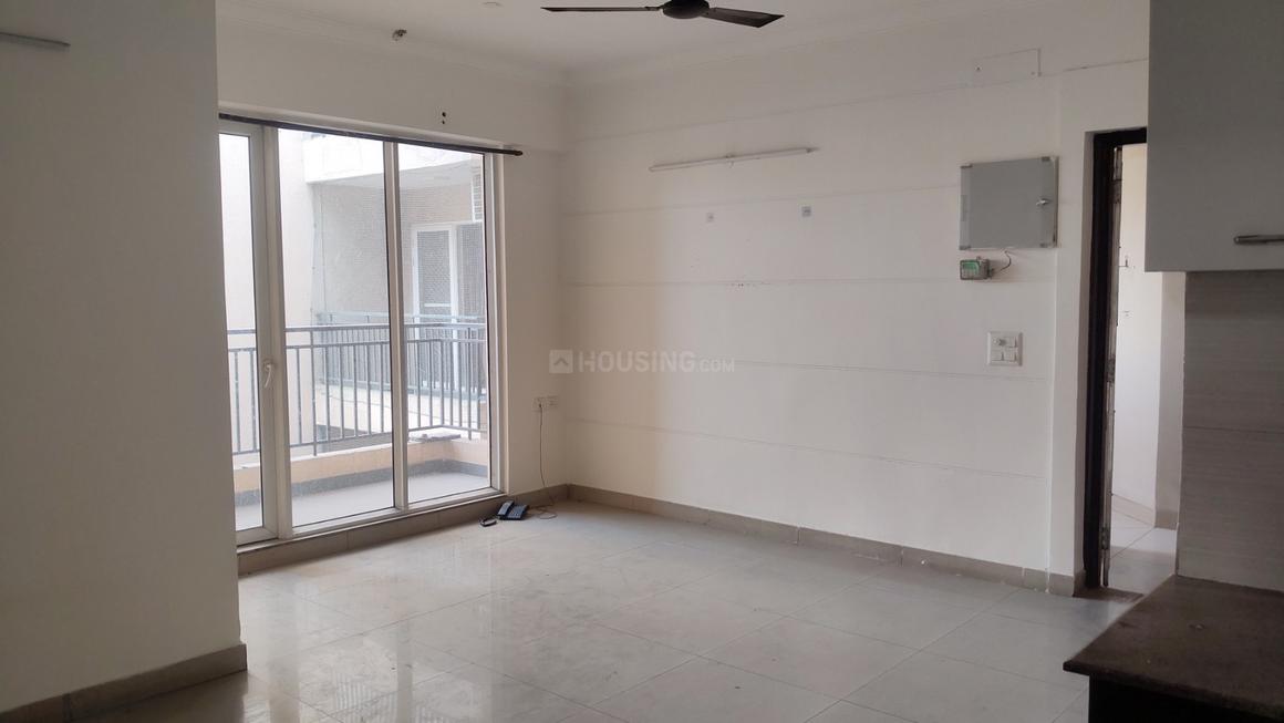 Exotica Dreamville - Image 8