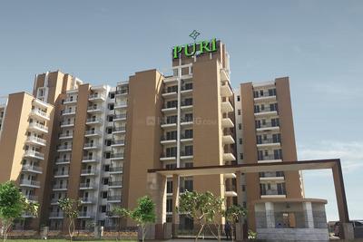 3 BHK Apartment