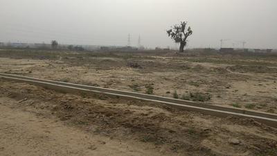 Residential Plot