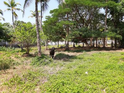 765 Sq.ft Residential Plot for Sale in Guruvayoor, Guruvayoor