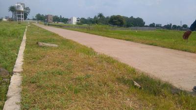 Residential Plot
