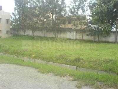 Residential Plot