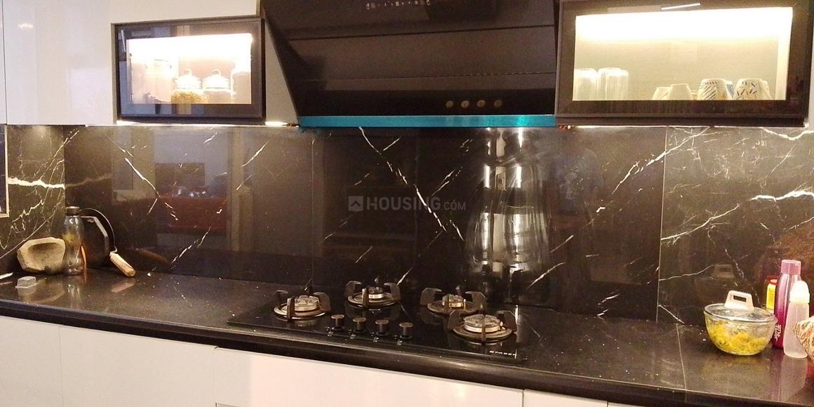 ACE Divino - Image 16