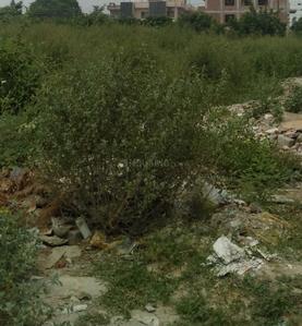 Gallery Cover Image of Sq.ft Residential Plot for buy in Sector 9 for 26111700