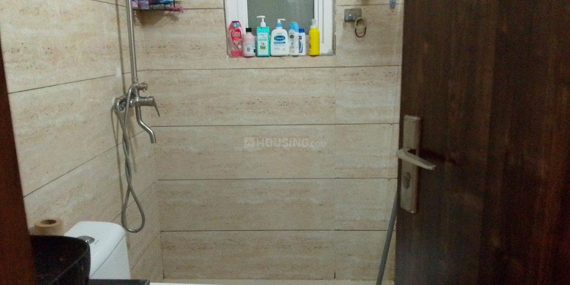 ACE Divino - Image 10