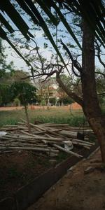 Gallery Cover Image of Sq.ft Residential Plot for buy in Whitefield for 28000000