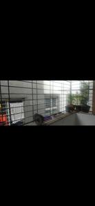 Gallery Cover Image of 359 Sq.ft 1 RK Apartment for buy in Ambegaon Budruk for 900000