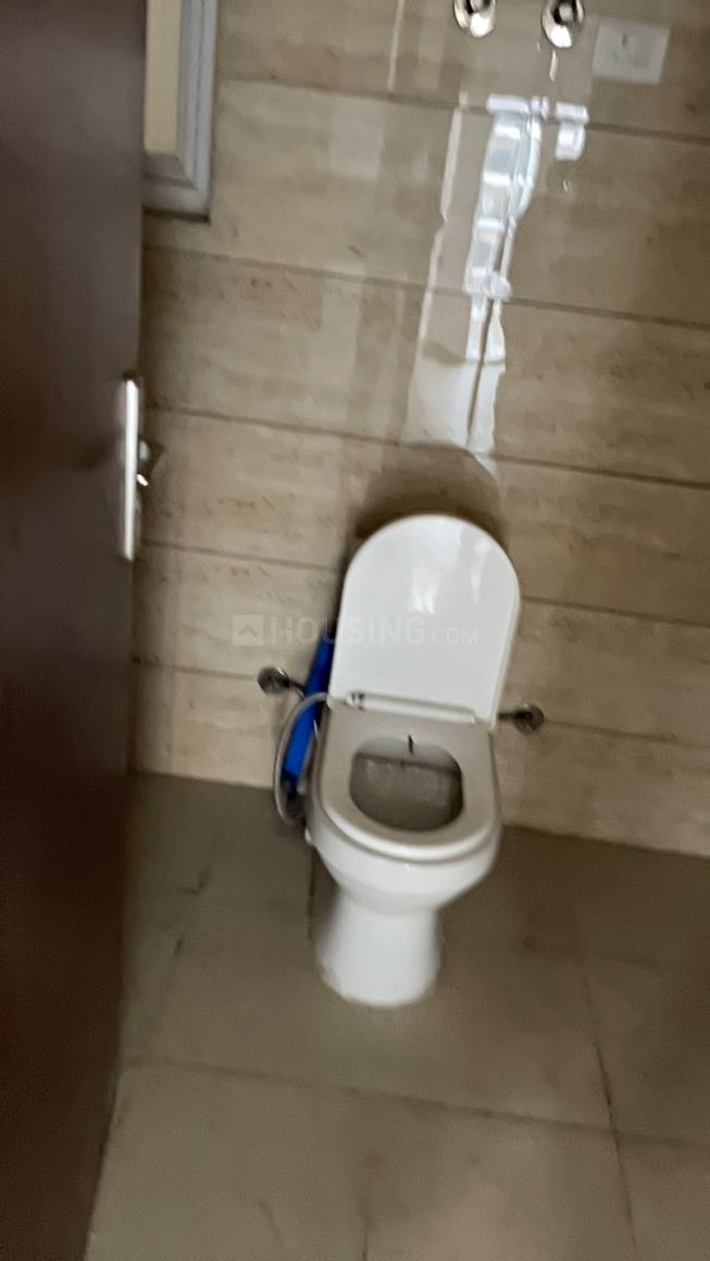 ACE Divino - Image 13