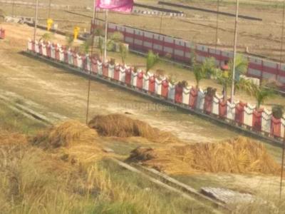 Gallery Cover Image of Sq.ft Residential Plot for buy in Cantt for 300000