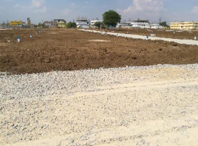 Gallery Cover Image of Sq.ft Residential Plot for buy in Mizaguda for 3006000