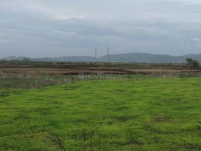 1000 Sq.ft Residential Plot for Sale in Ulwe, Navi Mumbai