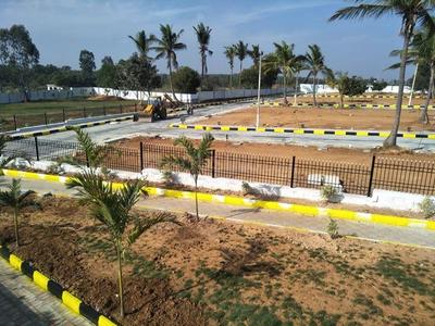 Residential Plot