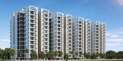 3 BHK Apartment