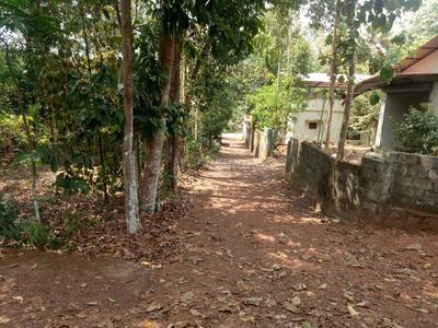 Gallery Cover Image of Sq.ft Residential Plot for buy in Thrippunithura for 4000000