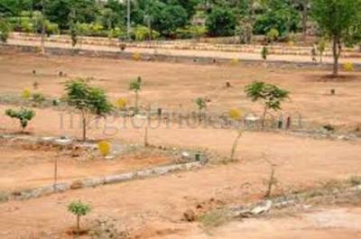 Gallery Cover Image of Sq.ft Residential Plot for buy in Sector 84 for 7000000