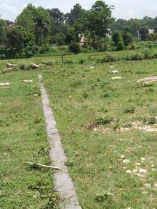 1350 Sq.ft Residential Plot for Sale in Bhagwant Pur, Dehradun