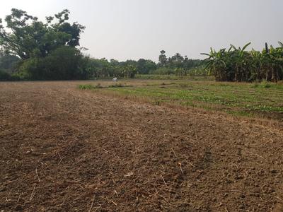 Residential Plot