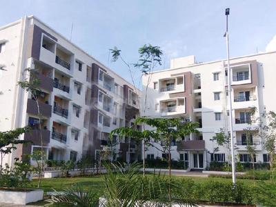 3 BHK Apartment