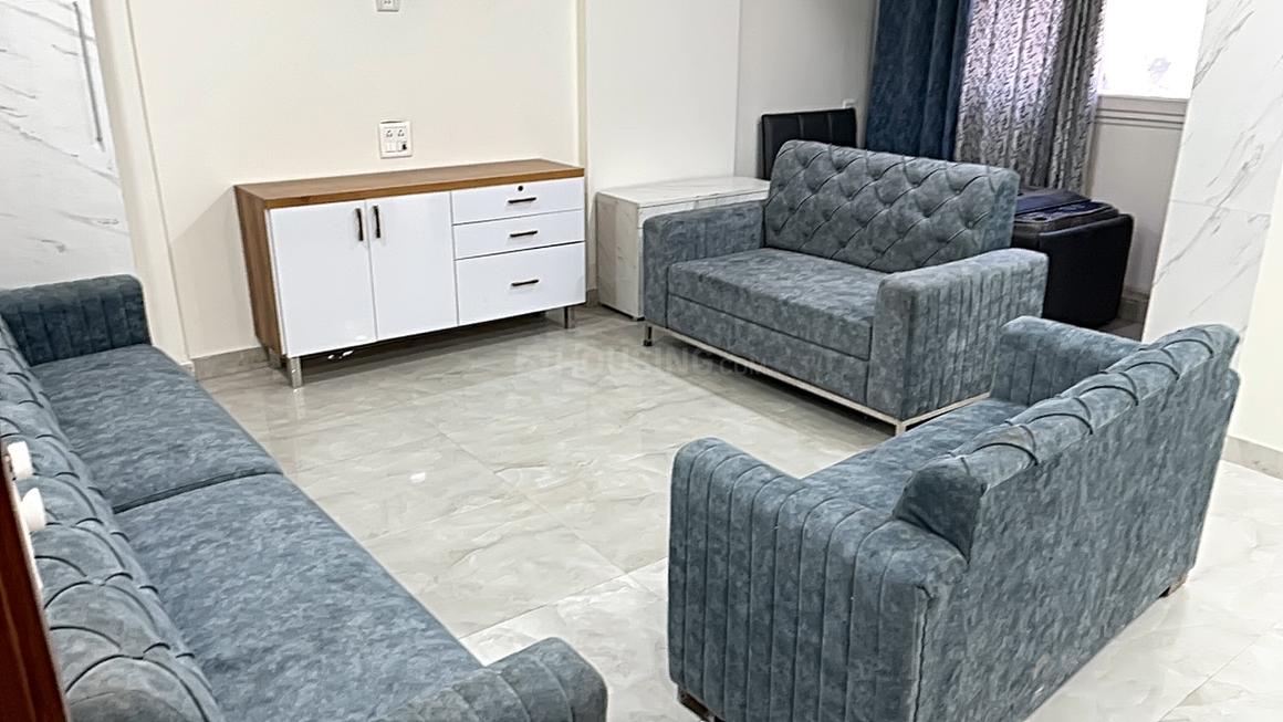 Town White Orchid - Image 3