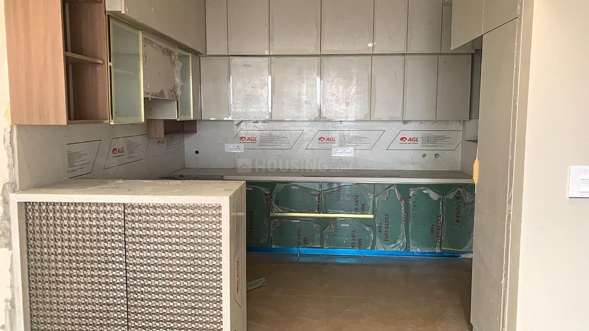 Apex D Rio - Image 11