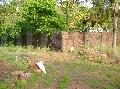 Gallery Cover Image of Sq.ft Residential Plot for buy in Thokkattu for 79500000