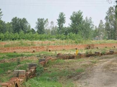 Gallery Cover Image of Sq.ft Residential Plot for buy in Sector 56 for 42801000