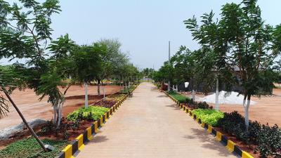 Residential Plot