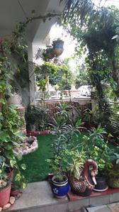Gallery Cover Image of 2400 Sq.ft 3 BHK Villa for buy in Mansarovar Extension for 8000000