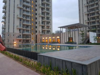 3 BHK Apartment