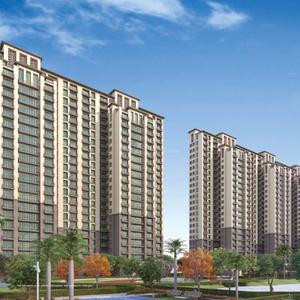 3 BHK Apartment