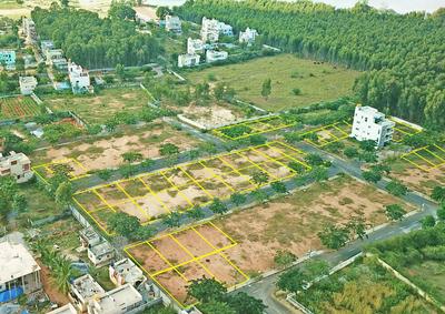Residential Plot