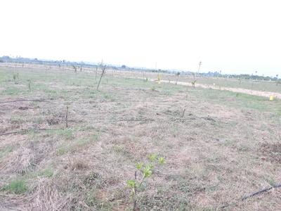 Gallery Cover Image of Sq.ft Residential Plot for buy in Patancheru for 1300000