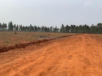 Gallery Cover Image of Sq.ft Residential Plot for buy in Jayanagar for 4000800