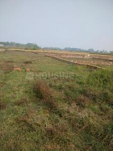 Gallery Cover Image of Sq.ft Residential Plot for buy in Botanda for 200000