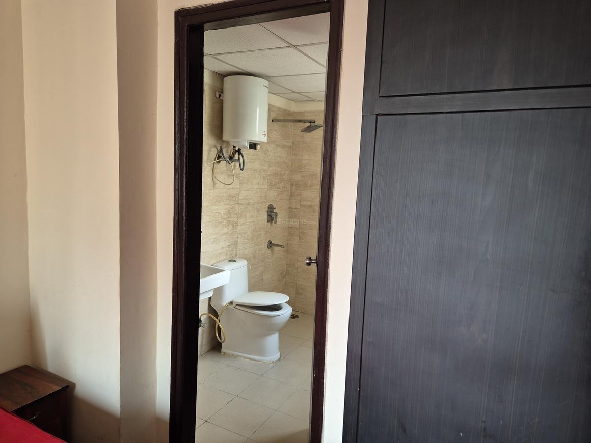 Sethi Max Royal - Image 12