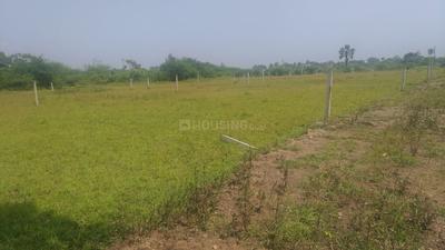 Gallery Cover Image of Sq.ft Residential Plot for buy in Tarapur for 349000