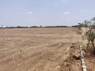 Residential Plot