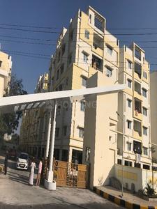 3 BHK Apartment