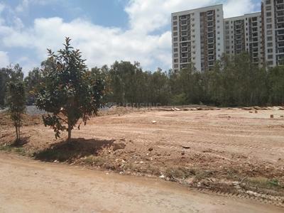 Residential Plot