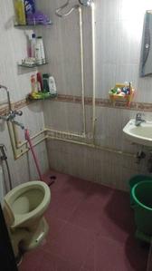 Bathroom Image of Star Property PG in Santacruz East