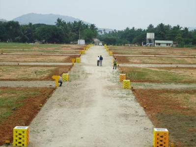 Residential Plot