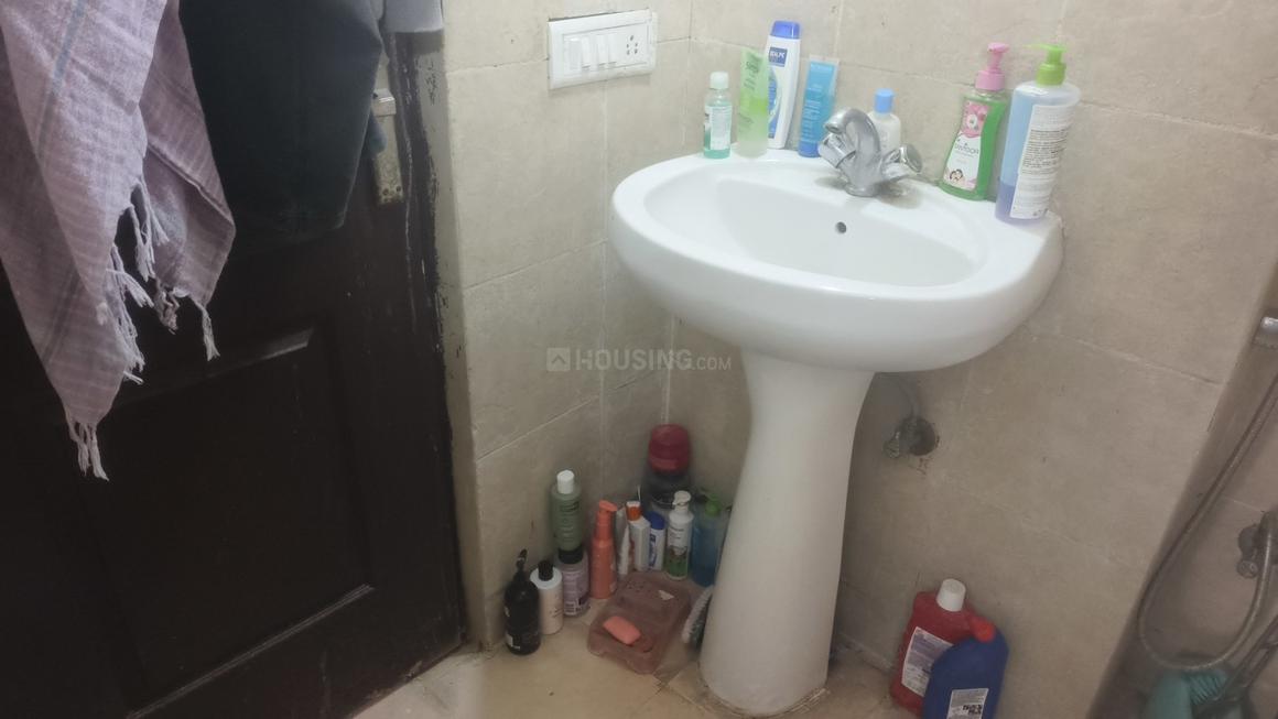 Saviour Iris - Image 4