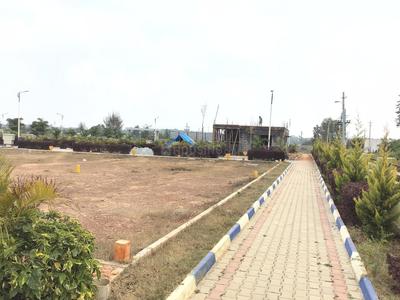 Residential Plot