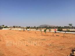 Residential Plot
