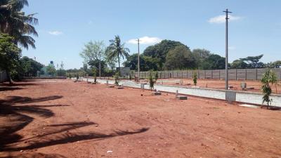 Residential Plot